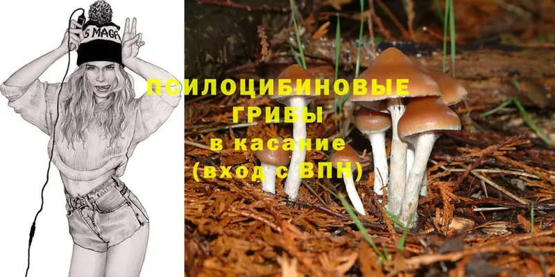 Галлюциногенные грибы Magic Shrooms  гидра зеркало  Белозерск  купить наркотики цена 